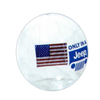 16 Inch Clear  Beach Ball W/ American Flag Insert