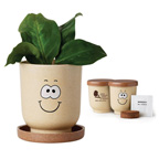 Goofy Grow Pot Set
