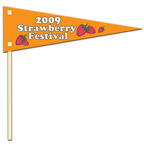 Small Sports Pennant