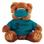8 inch Scrub Bear with one color imprint