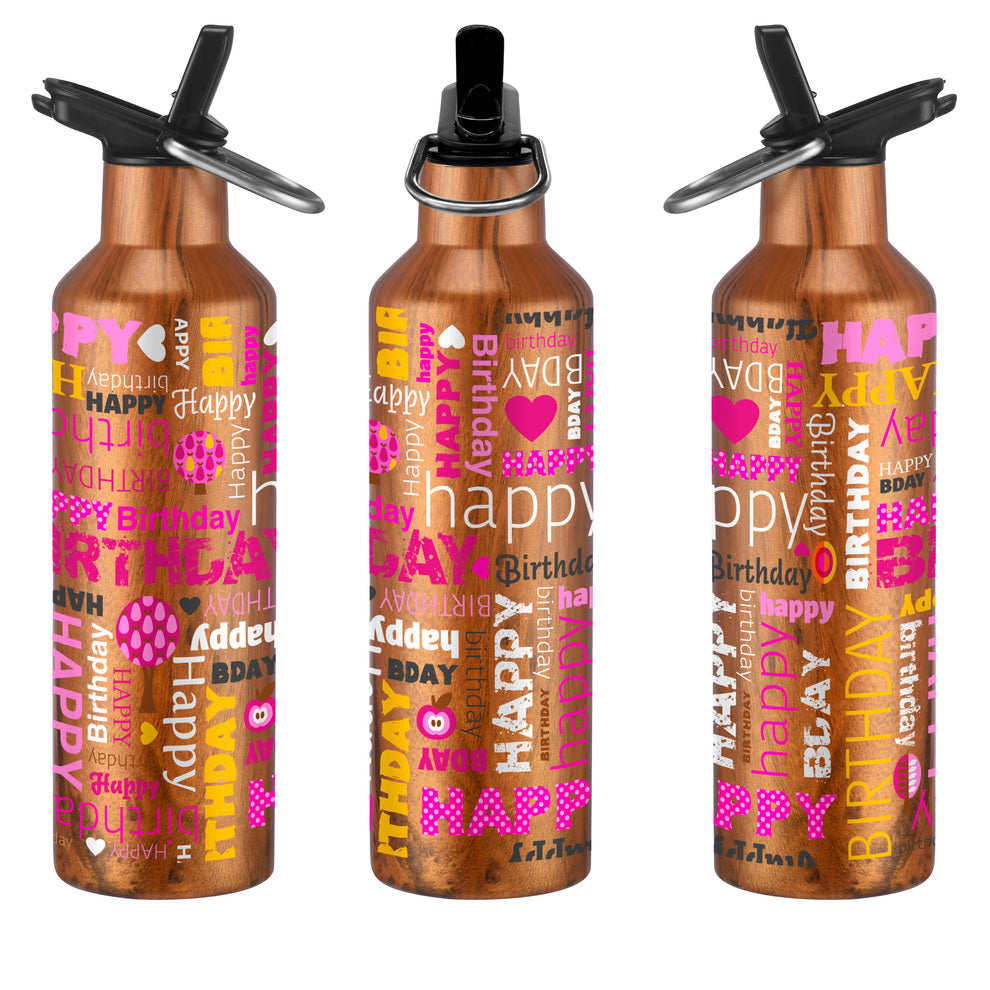 20 oz Double Wall Stainless Steel Water Bottle With Spout & Straw And Carry Handle.