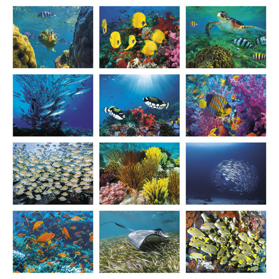 Ocean Glory 13 Month Wall Calendar