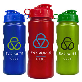 22 oz. Metallic Bottle with Flip Lid