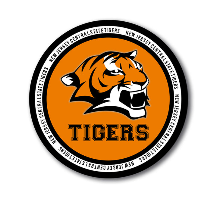 4 inch Round Magnet, 20 Mil