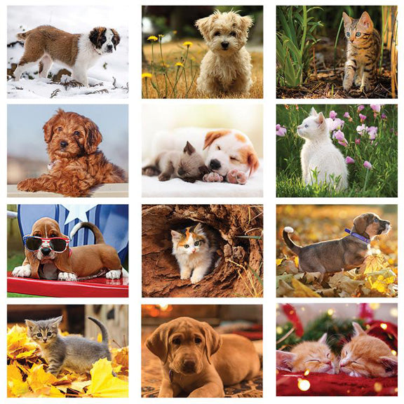 Puppies & Kittens Wall Calendar