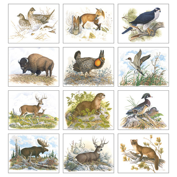 Wildlife Trek 13 Month Wall Calendar