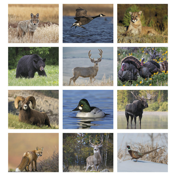 Wildlife Appointment Calendar