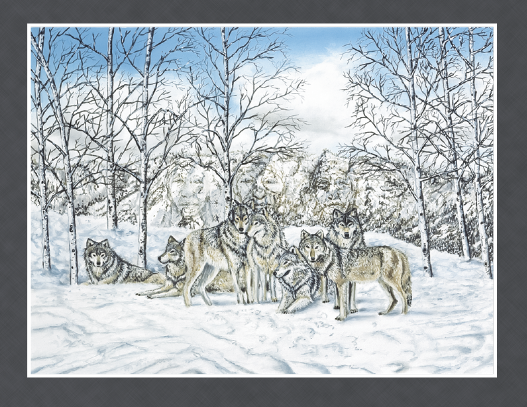 Triumph® Calendars Native American Art Calendar