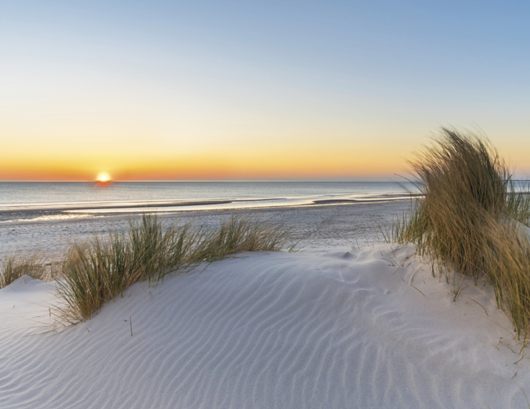 Triumph® Calendars Sunrise Sunset Calendar