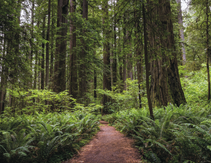 Triumph® Calendars National Parks Calendar