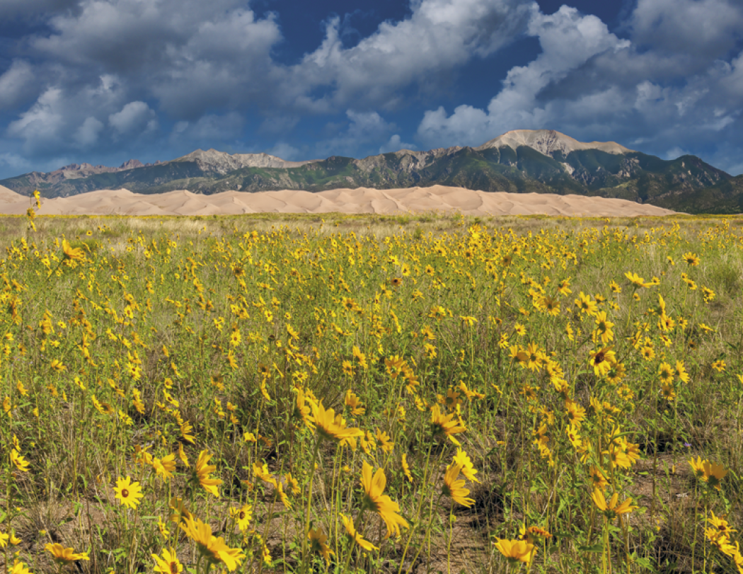 Triumph® Calendars National Parks Calendar