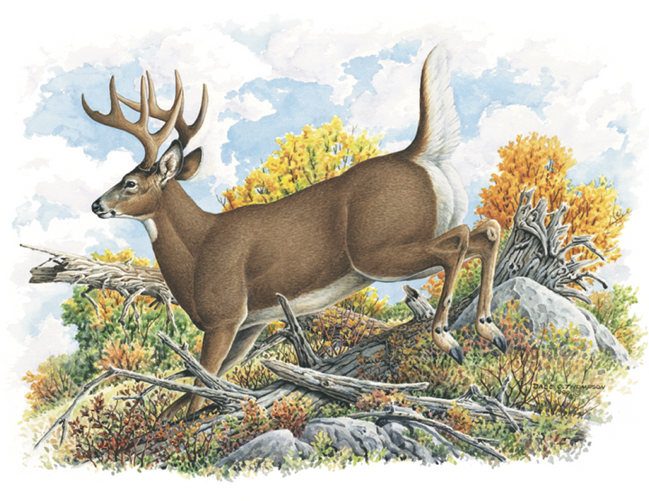 Good Value™ Wildlife Trek - Stapled Calendar