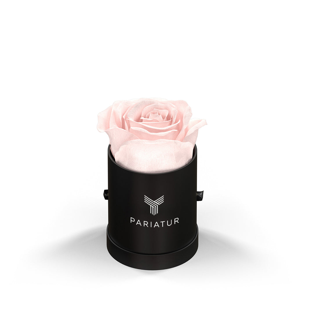Classique by VeF Le Mini™ Round