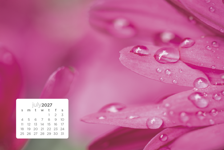 Triumph® Calendars Simplicity Large Desk Calendar