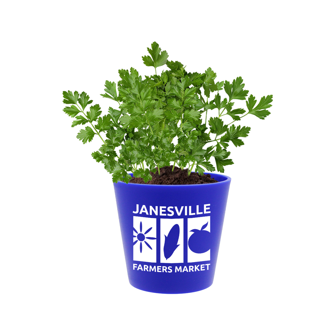 Recycled Promo Pot