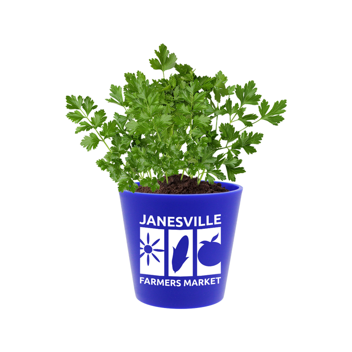Recycled Promo Pot