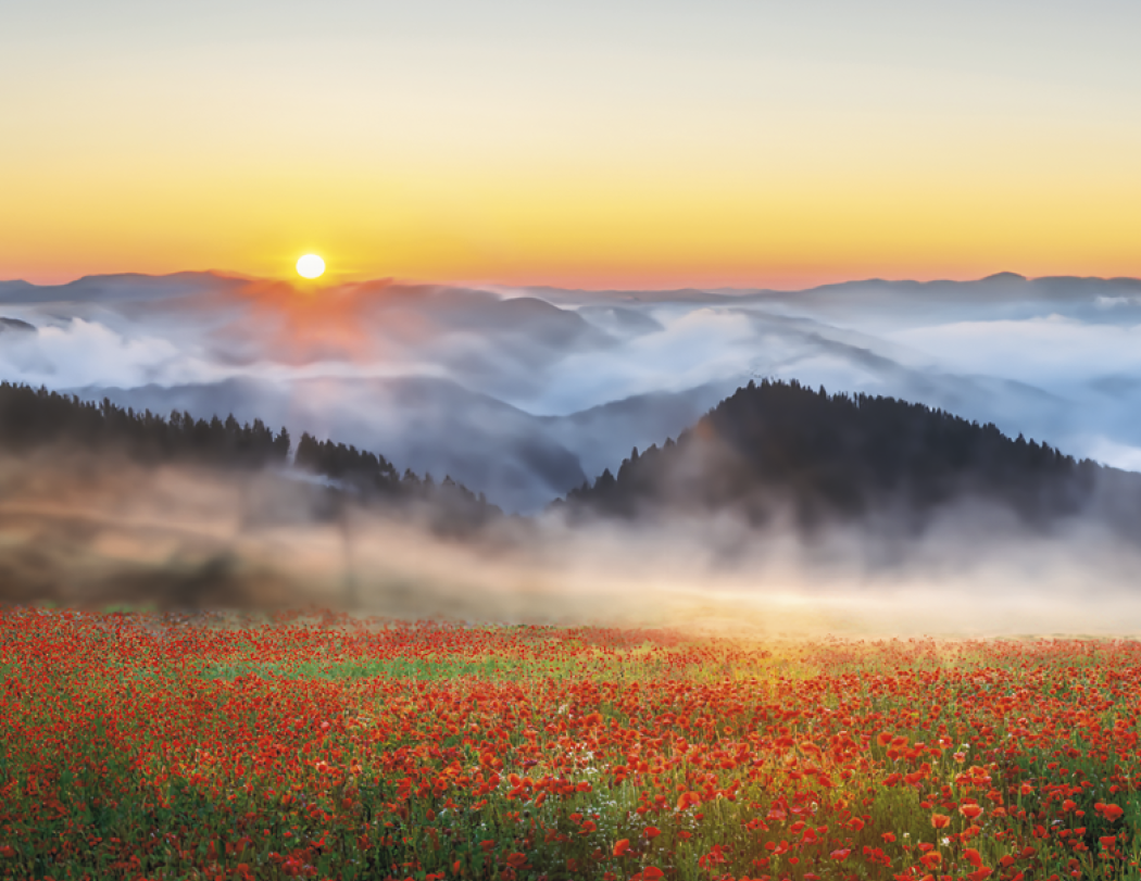 Triumph® Calendars Sunrise Sunset Calendar