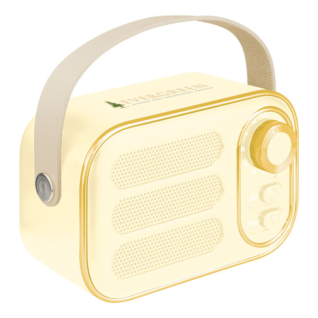 AWS Retro Boom FM Radio & Wireless Speaker