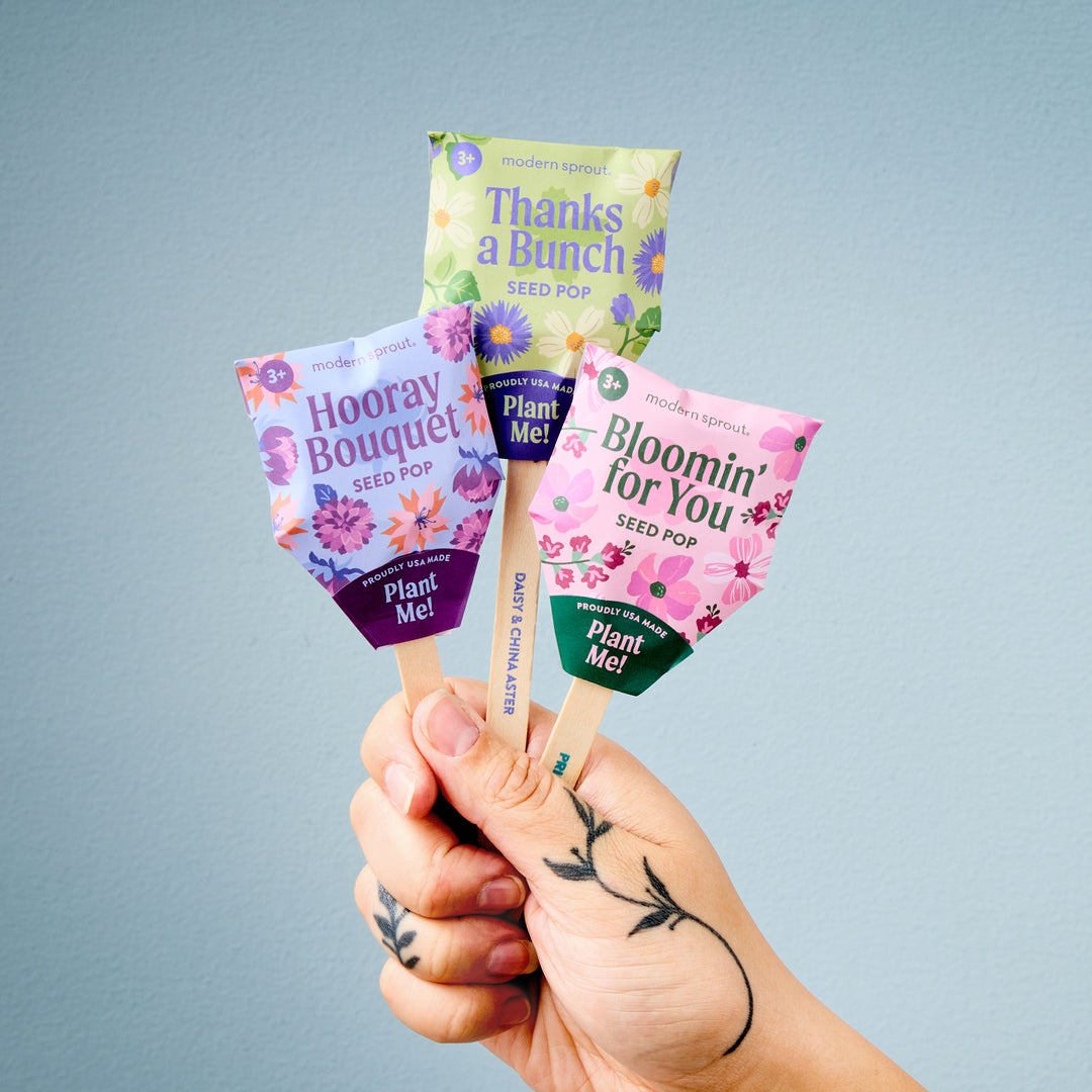 Modern Sprout® Flower Seed Pop