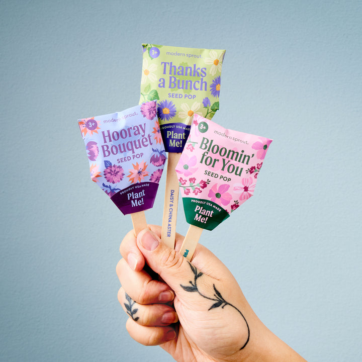 Modern Sprout® Flower Seed Pop