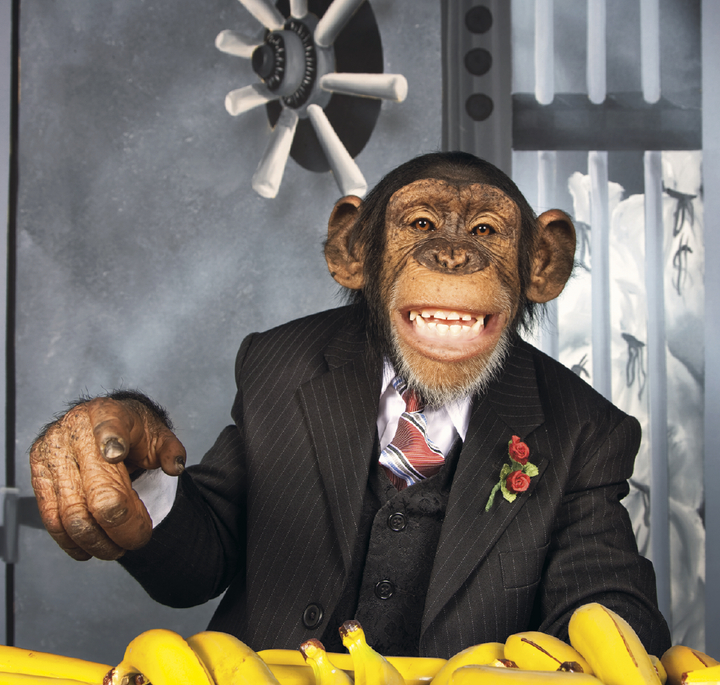 Triumph® Calendars Monkey Business Calendar