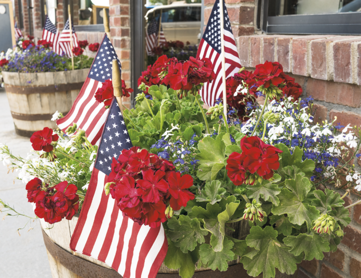 Triumph® Calendars I Love America Calendar