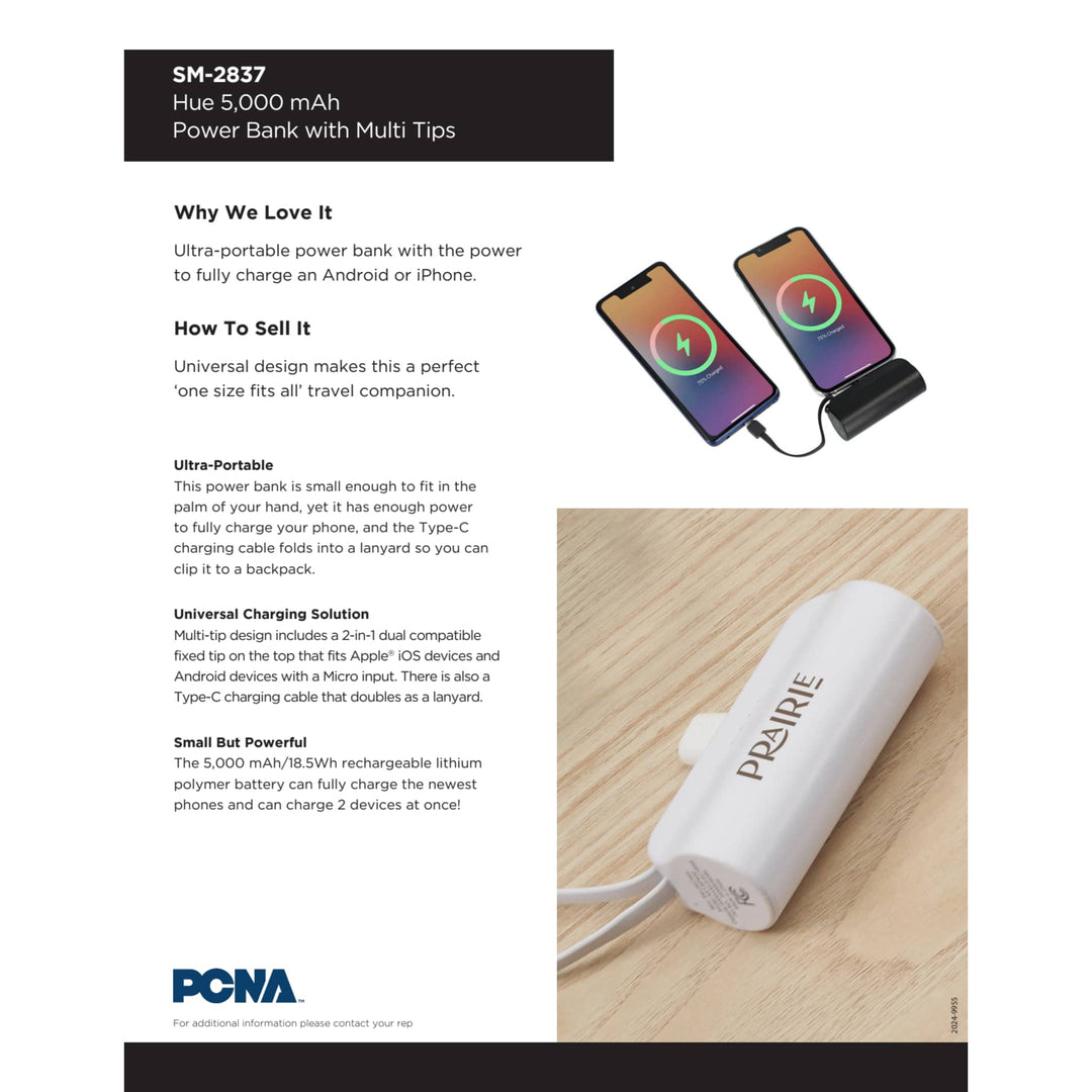 Hue 5000 mAh Power Bank with Multi Tips