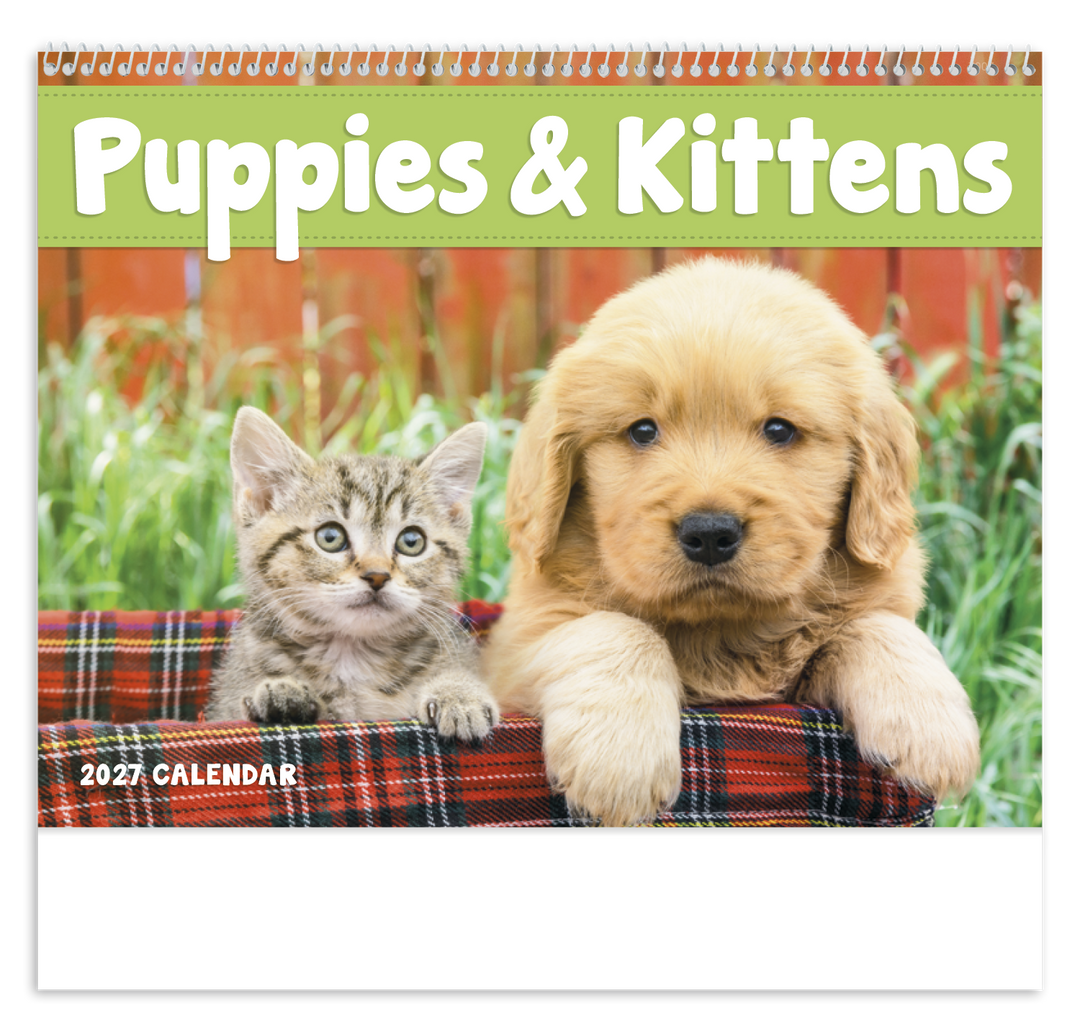 Good Value™ Puppies & Kittens - Spiral Calendar