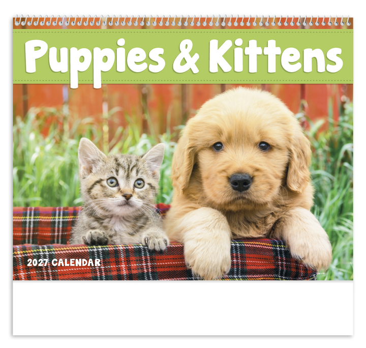 Good Value™ Puppies & Kittens - Spiral Calendar