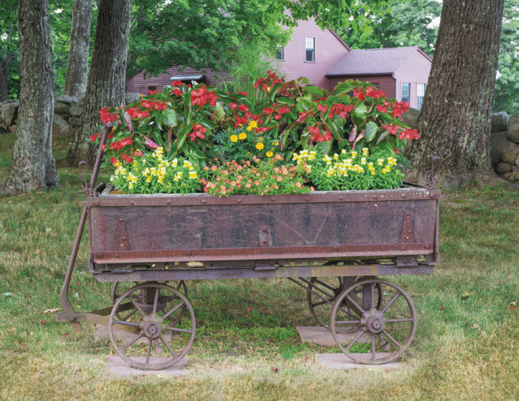 Good Value™ Garden Walk - Window Calendar