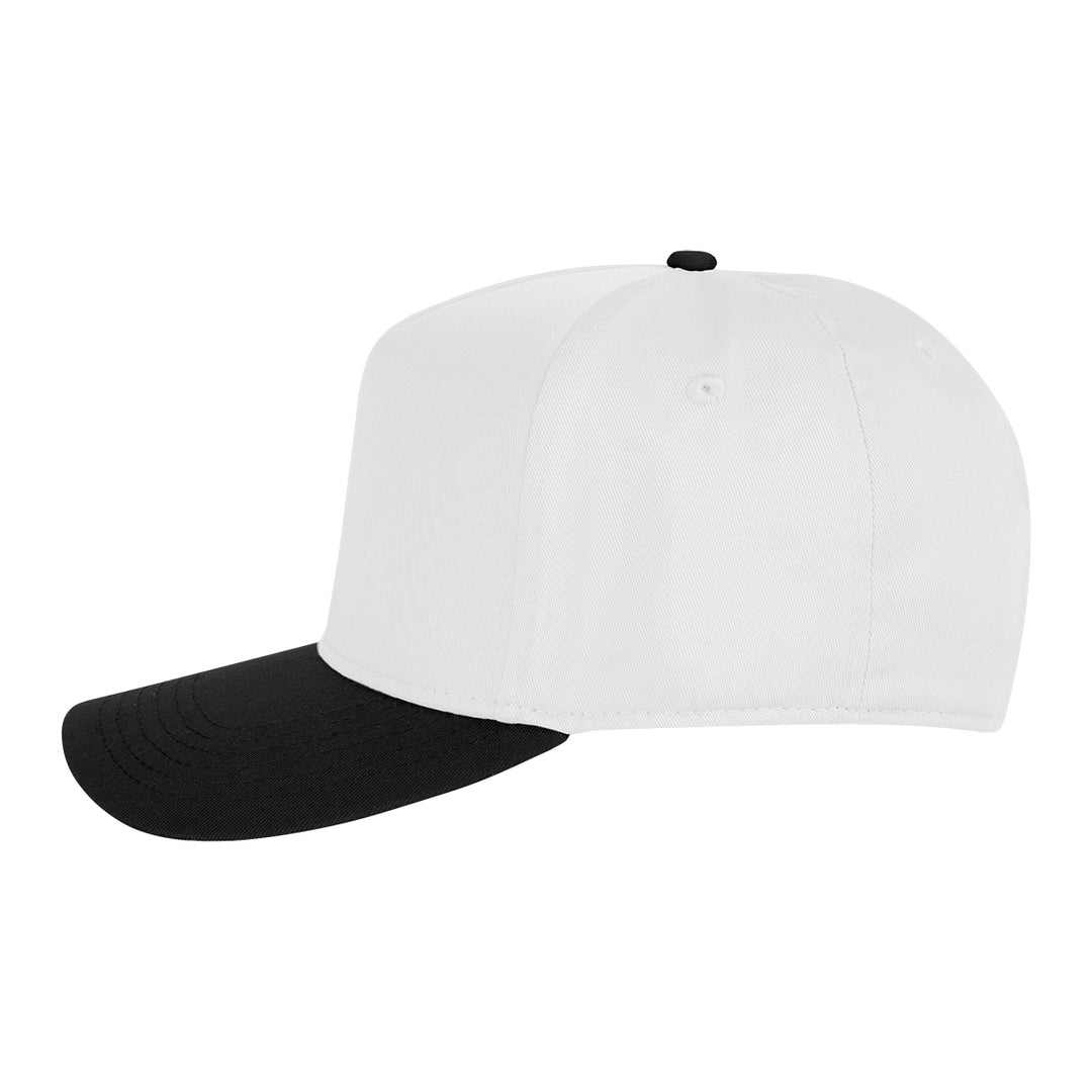 Two-Tone Strike Zone Cap