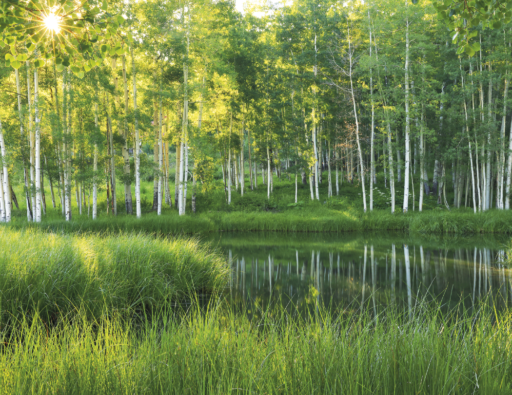 Triumph® Calendars Scenic Inspirations Calendar