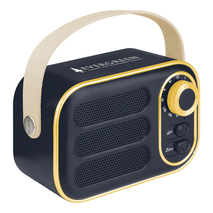 AWS Retro Boom FM Radio & Wireless Speaker