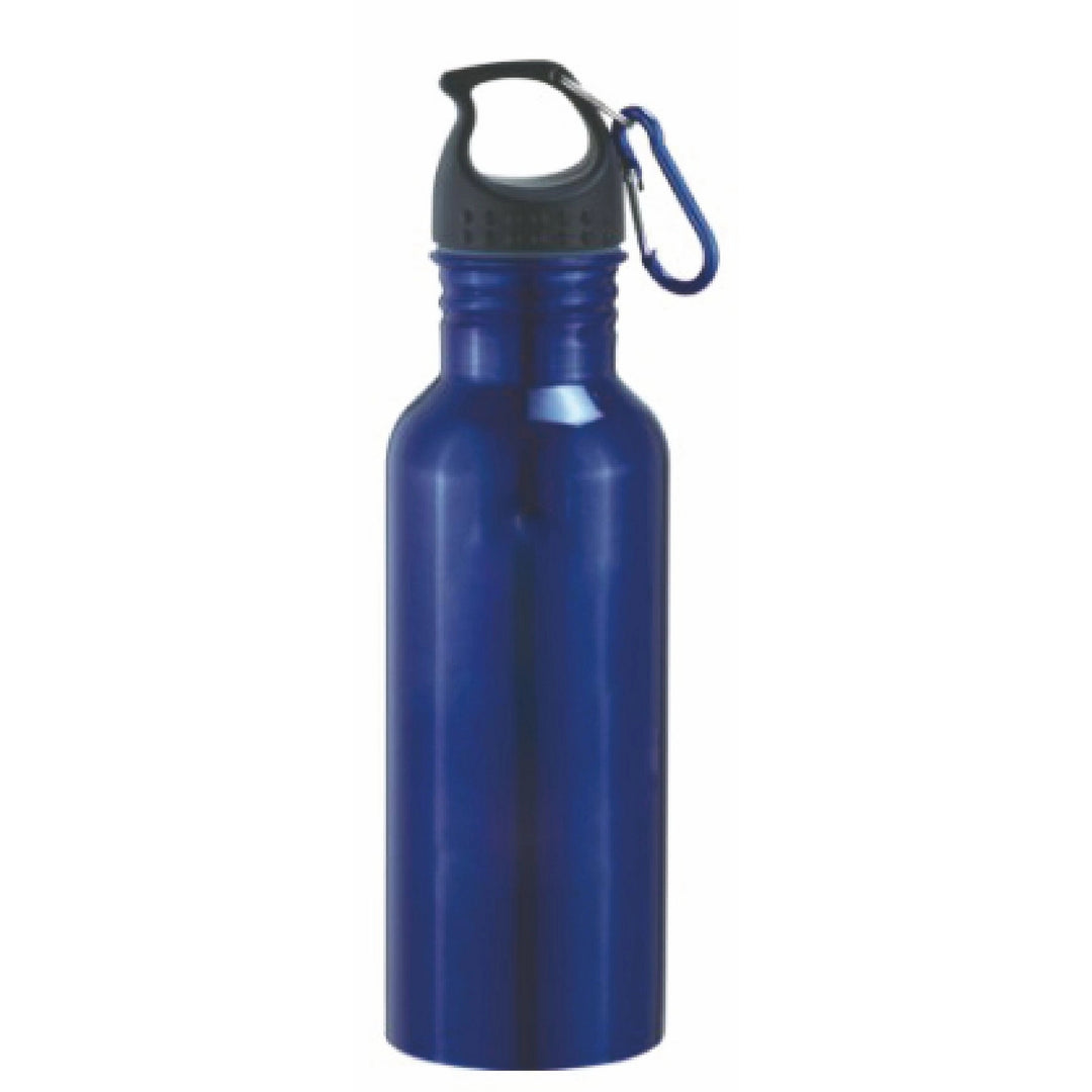 22 Oz. Stainless steel sports water bottle, carabiner