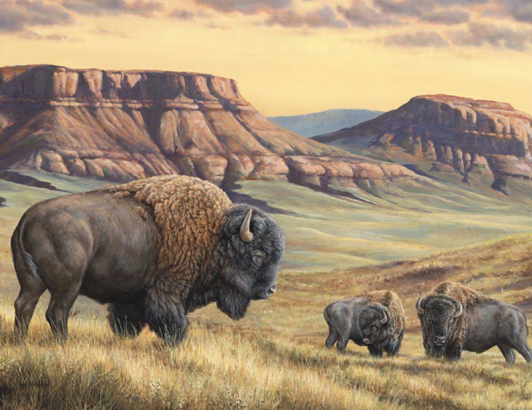 Triumph® Calendars Wildlife Art Calendar