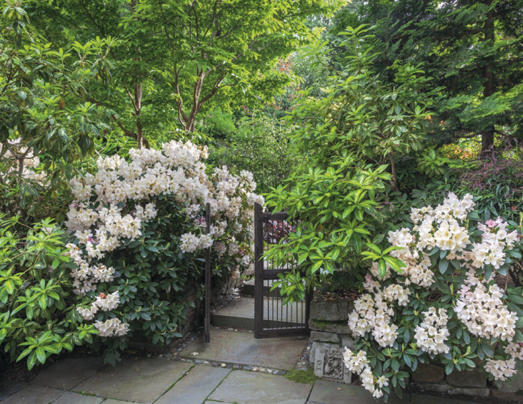 Good Value™ Garden Walk - Window Calendar