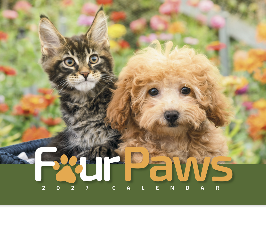 HotLine® Products Four Paws Appointment Calendar - Stapled