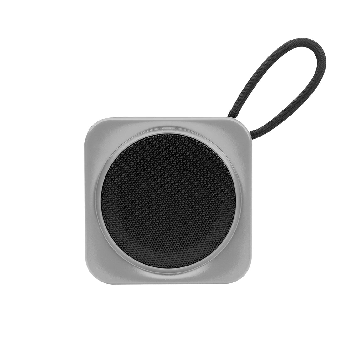 RABS Speaker