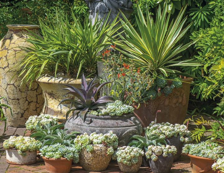Good Value™ Garden Walk - Stapled Calendar