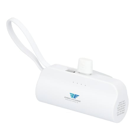 Hue 5000 mAh Power Bank with Multi Tips