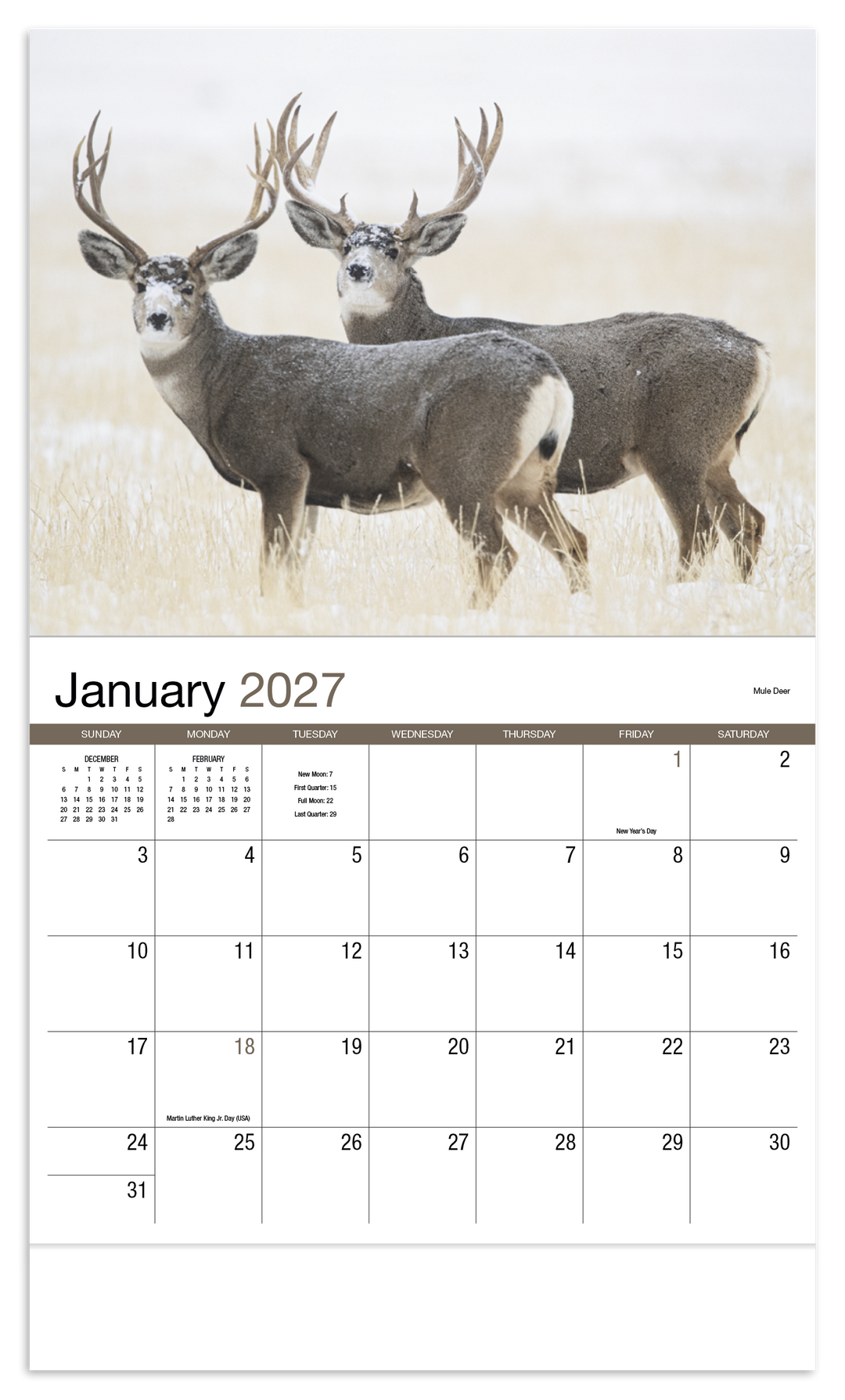 HotLine® Products Wildlife Appointment Calendar - Stapled