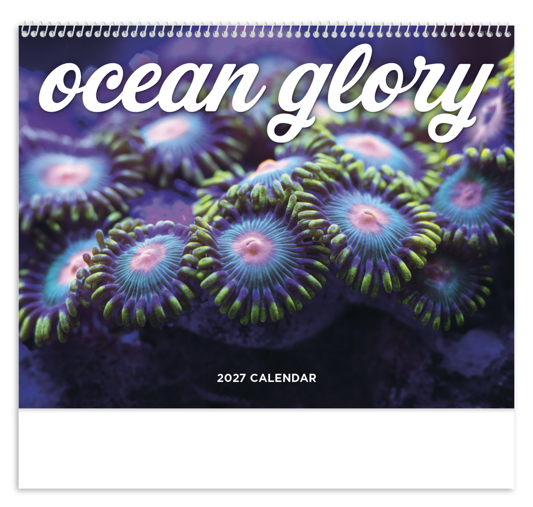 Good Value™ Ocean Glory - Spiral Calendar