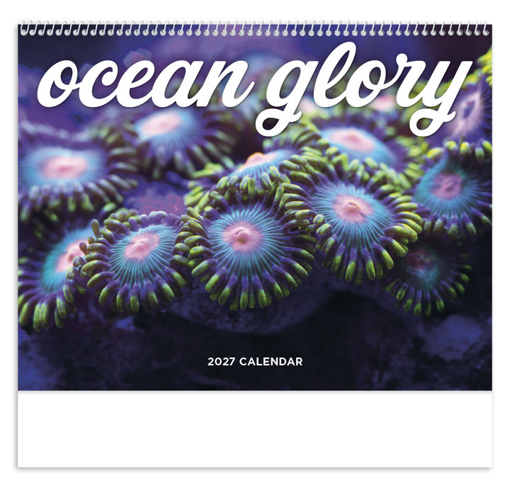 Good Value™ Ocean Glory - Spiral Calendar