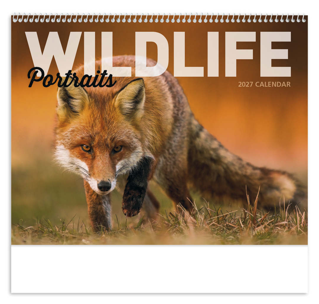 Good Value™ Wildlife Portraits - Spiral Calendar