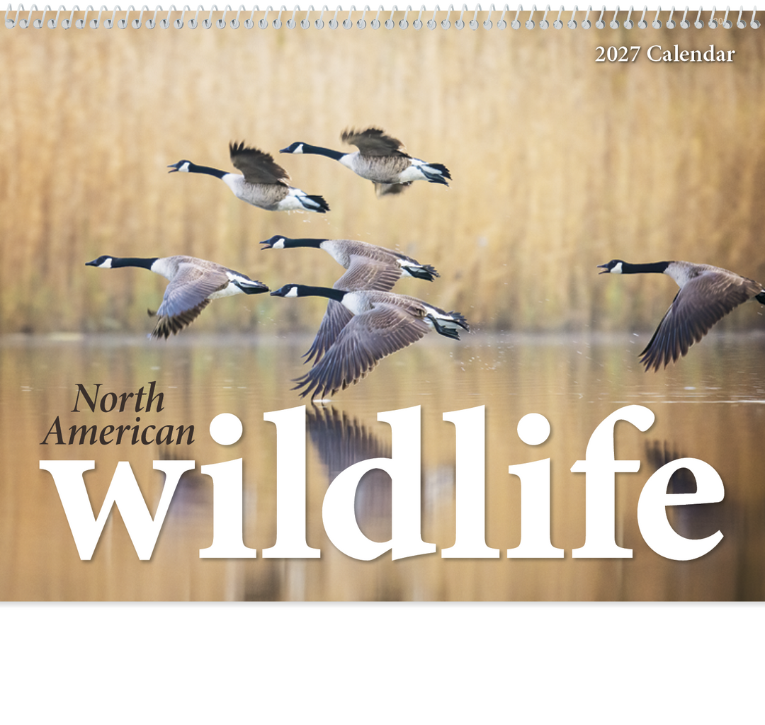 Triumph® Calendars North American Wildlife Calendar