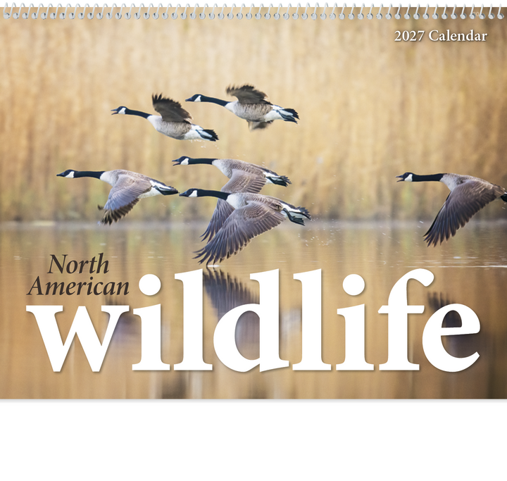 Triumph® Calendars North American Wildlife Calendar