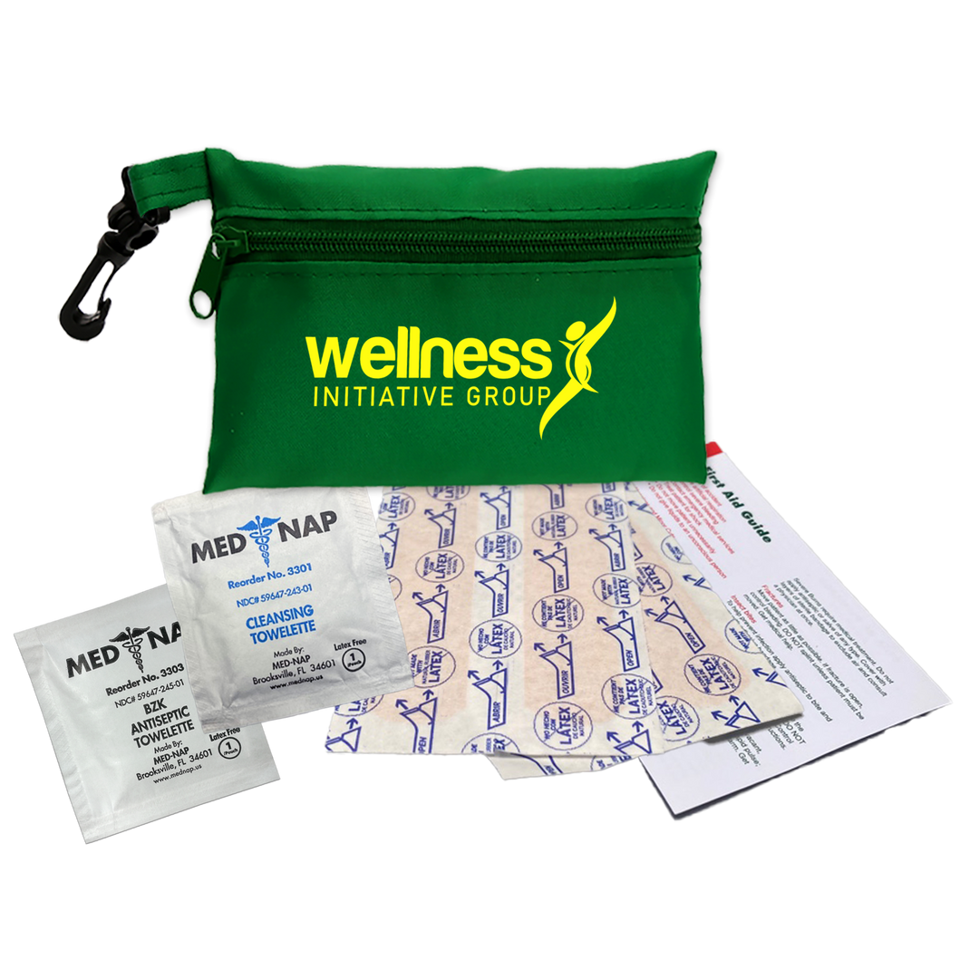 Zip Pouch First Aid Kit 2