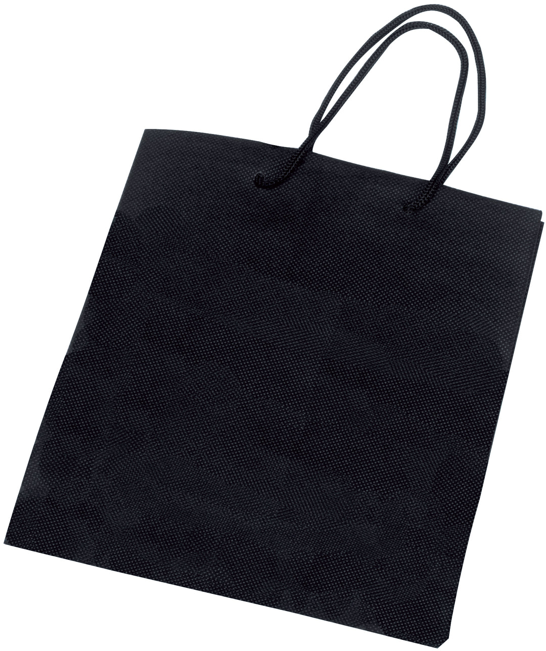Non-Woven Gift Bag