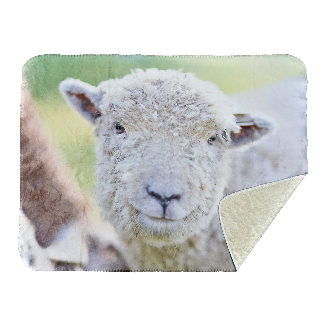 3a91a4c666a0402ff58159a6e685bcf962cc3a28