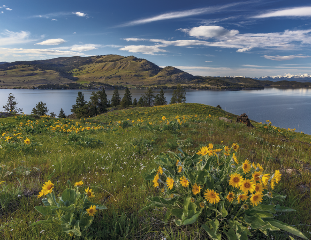 Triumph® Calendars American Splendor Calendar